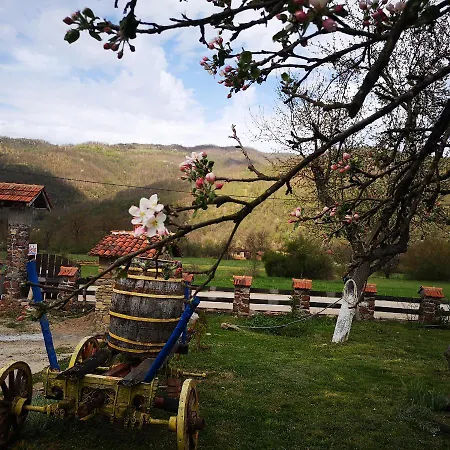 Etno Angela Pensión 3*