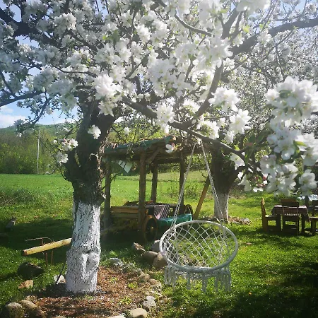 Etno Angela 3* Kalna