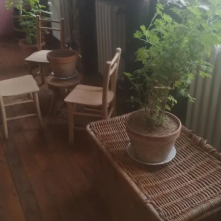 Etno Angela Pensjonat 3*